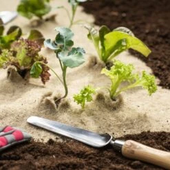 Windhager Naturfaser-Unkrautmatte ÖKO -Pflanzensamen Rabatt windhager naturfaser unkrautmatte oeko 1 stk 876115 de