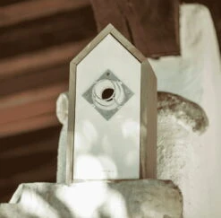 Windhager Nesträuberschutz 9 Windhager Nesträuberschutz -Pflanzensamen Rabatt windhager nestraeuberschutz 1 stk 883647 de