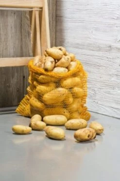 Windhager Netzsäcke, 50 X 80 Cm (10 Stk.) (10 Stück) -Pflanzensamen Rabatt windhager netzsaecke 50 x 80 cm 10 st 1656132 de