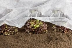 Windhager ÖKO-Wachstumsvlies 10x1,5 M -Pflanzensamen Rabatt windhager oeko wachstumsvlies 10x15 m 1 st 1671596 de