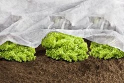 Windhager ÖKO Wachstumsvlies 5x1,5 M