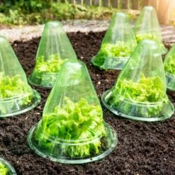 Windhager Pflanzenhut Ø 24 Cm - 10er Set, 1 Set (10 Stück) -Pflanzensamen Rabatt windhager pflanzenhut oe 24 cm 10er set 1156540 de