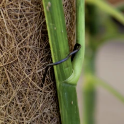 Windhager Pflanzenstecker -Pflanzensamen Rabatt windhager pflanzenstecker 1 set 1670580 de