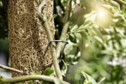 Windhager Pflanzenstecker -Pflanzensamen Rabatt windhager pflanzenstecker 1 set 763207 de