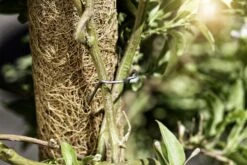 Windhager Pflanzenstecker -Pflanzensamen Rabatt windhager pflanzenstecker 763197 de