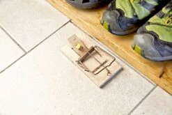 Windhager Rattenfalle PEFC-Holz 10 Windhager Rattenfalle PEFC-Holz -Pflanzensamen Rabatt windhager rattenfalle pefc holz 1 stk 659293 de