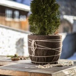 Windhager Schafwoll-Filzmatte Medium, 0,6 X 1,2 M 8 Windhager Schafwoll-Filzmatte Medium, 0,6 X 1,2 M -Pflanzensamen Rabatt windhager schafwoll filzmatte medium 1043913 de