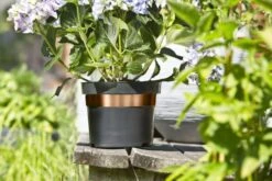 Windhager Schnecken Abwehrband "Kupfer" -Pflanzensamen Rabatt windhager schnecken abwehrband kupfer 1 st 1667512 de