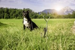 Windhager Spiralhering -Pflanzensamen Rabatt windhager spiralhering 1 stk 763707 de