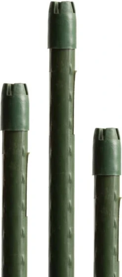 Windhager Stahlpflanzstab 10er-Set "Grün", 90 Cm 11 Windhager Stahlpflanzstab 10er-Set "Grün", 90 Cm -Pflanzensamen Rabatt windhager stahlpflanzstab 10er set gruen 1673835 de