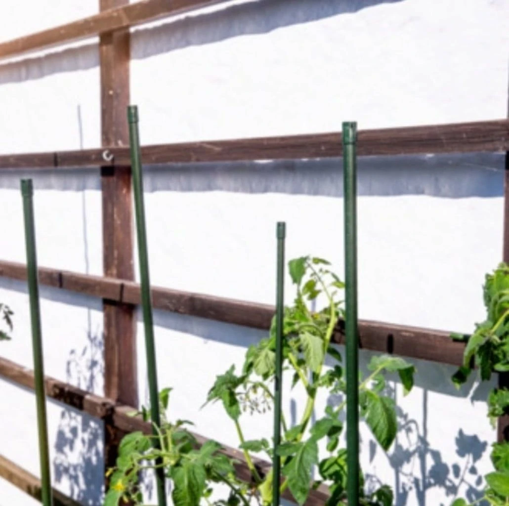 Windhager Stahlpflanzstab 10er-Set "Grün", 90 Cm 9 Windhager Stahlpflanzstab 10er-Set "Grün", 90 Cm – Bild 7