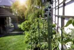 Windhager Stahlpflanzstab 10er-Set "Grün", 90 Cm 14 Windhager Stahlpflanzstab 10er-Set "Grün", 90 Cm -Pflanzensamen Rabatt windhager stahlpflanzstab 10er set gruen 894647 de