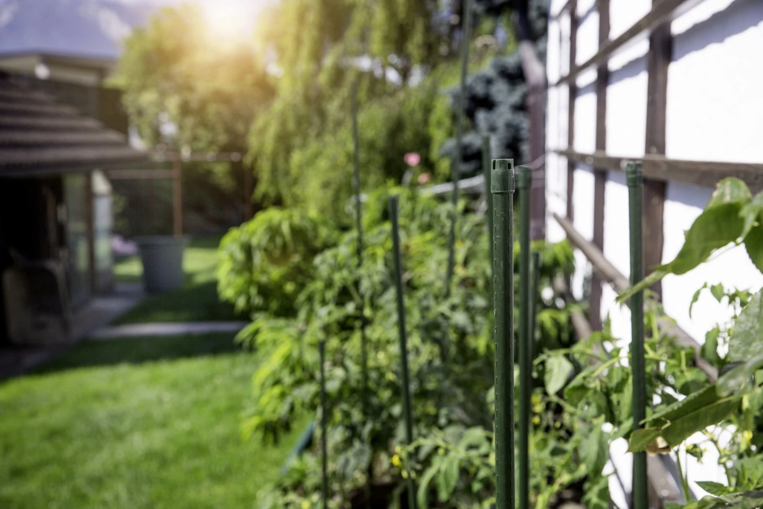 Windhager Stahlpflanzstab 10er-Set "Grün", 90 Cm 7 Windhager Stahlpflanzstab 10er-Set "Grün", 90 Cm – Bild 5