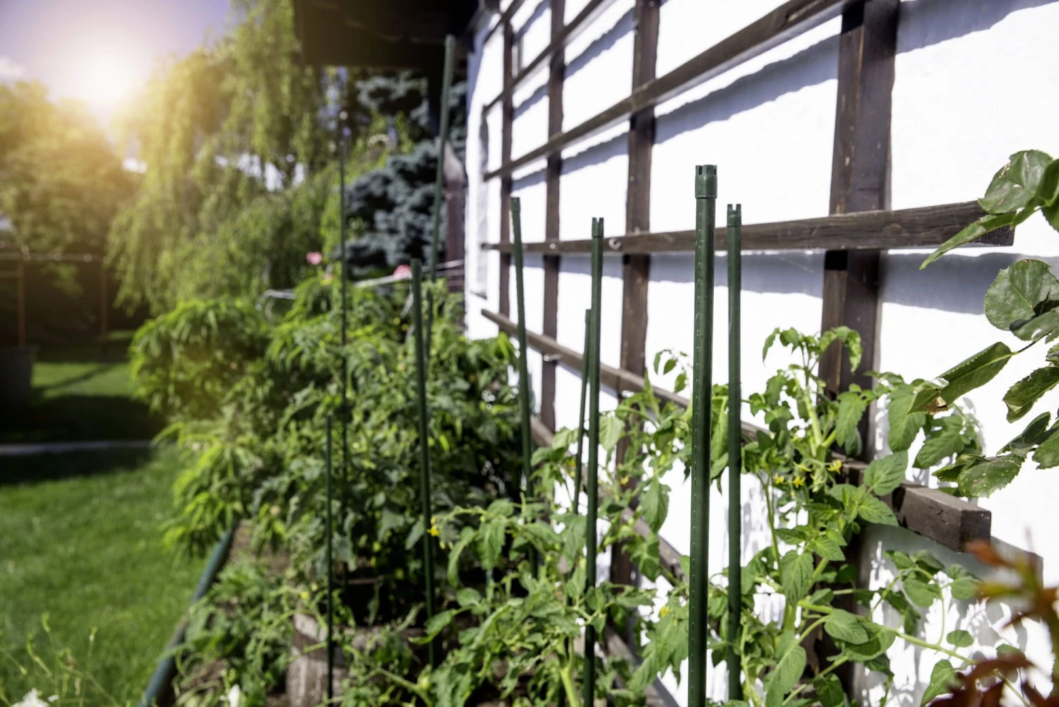 Windhager Stahlpflanzstab 10er-Set "Grün", 90 Cm 3 Windhager Stahlpflanzstab 10er-Set "Grün", 90 Cm