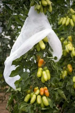 Windhager Tomaten-Vliesschlauch -Pflanzensamen Rabatt windhager tomaten vliesschlauch 1 stk 761497 de