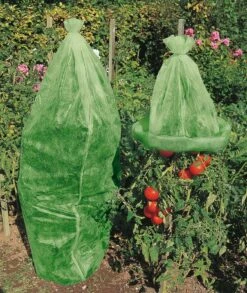 Windhager Tomaten-Vliesschlauch Supergrow -Pflanzensamen Rabatt windhager tomaten vliesschlauch supergrow 1 stk 761567 de