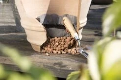 Windhager Trenn-Vlies Für Töpfe 12 Windhager Trenn-Vlies Für Töpfe -Pflanzensamen Rabatt windhager trenn vlies fuer toepfe 1 st 1670546 de