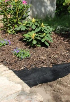 Windhager Unkraut Vlies -Pflanzensamen Rabatt windhager unkraut vlies 1 stk 761787 de