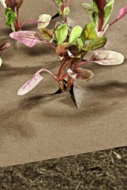 Windhager Unkraut Vlies Premium -Pflanzensamen Rabatt windhager unkraut vlies premium 1 stk 761857 de