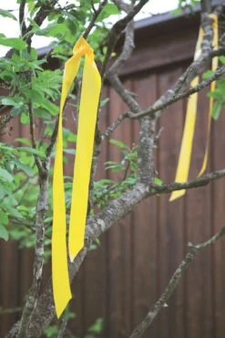 Windhager Vogelschreckband -Pflanzensamen Rabatt windhager vogelschreckband 1 stk 760957 de