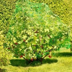 Windhager Vogelschutz-Netz RATIONAL, 8x8m -Pflanzensamen Rabatt windhager vogelschutz netz rational 1156458 de