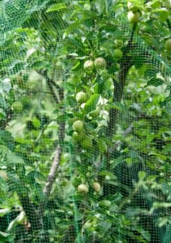 Windhager Vogelschutz-Netz RATIONAL, 8x8m -Pflanzensamen Rabatt windhager vogelschutz netz rational 1660333 de