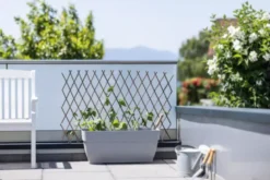 Windhager Weide-Spalier -Pflanzensamen Rabatt windhager weide spalier 1683916 de