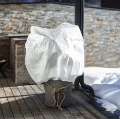 Windhager Winter Vlieshaube ÖKO Protect XL -Pflanzensamen Rabatt windhager winter vlieshaube oeko protect xl 1 stk 1274693 de