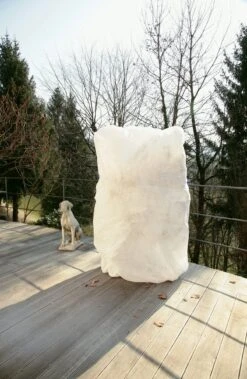 Windhager Winter-Vlieshaube Protect XXL -Pflanzensamen Rabatt windhager winter vlieshaube protect xxl 1 stk 762397 de