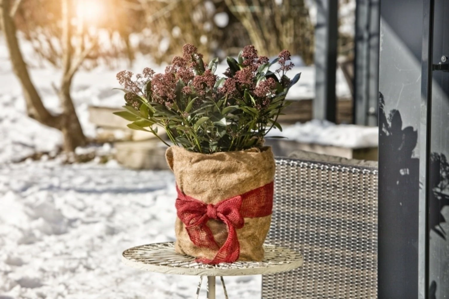 Windhager Winterschutz-Vliesmatte 4 Windhager Winterschutz-Vliesmatte – Bild 2