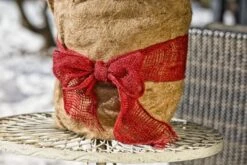 Windhager Winterschutz-Vliesmatte 9 Windhager Winterschutz-Vliesmatte -Pflanzensamen Rabatt windhager winterschutz vliesmatte 1 stk 661178 de