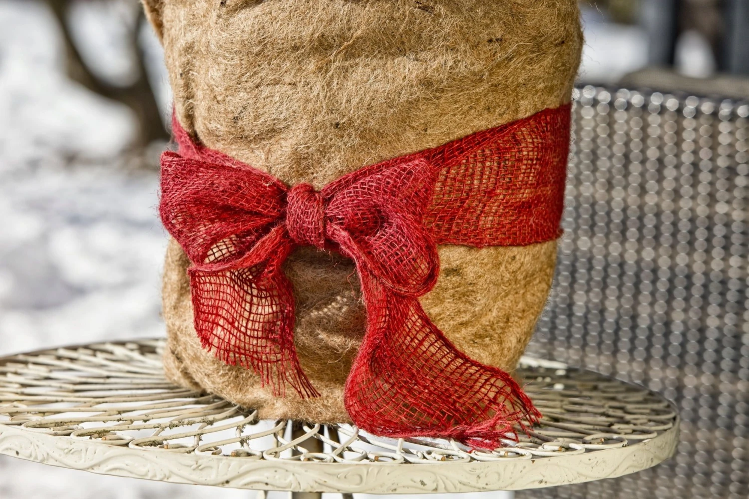 Windhager Winterschutz-Vliesmatte 6 Windhager Winterschutz-Vliesmatte – Bild 4