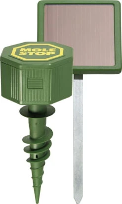Windhager Wühlmaus- & Maulwurf-Vertreiber MOLE STOP SOLAR -Pflanzensamen Rabatt windhager wuehlmaus maulwurf vertreiber mole stop solar 1 stk 650834 de