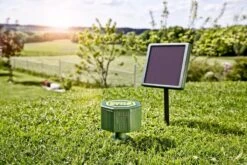 Windhager Wühlmaus- & Maulwurf-Vertreiber MOLE STOP SOLAR -Pflanzensamen Rabatt windhager wuehlmaus maulwurf vertreiber mole stop solar 1 stk 650844 de