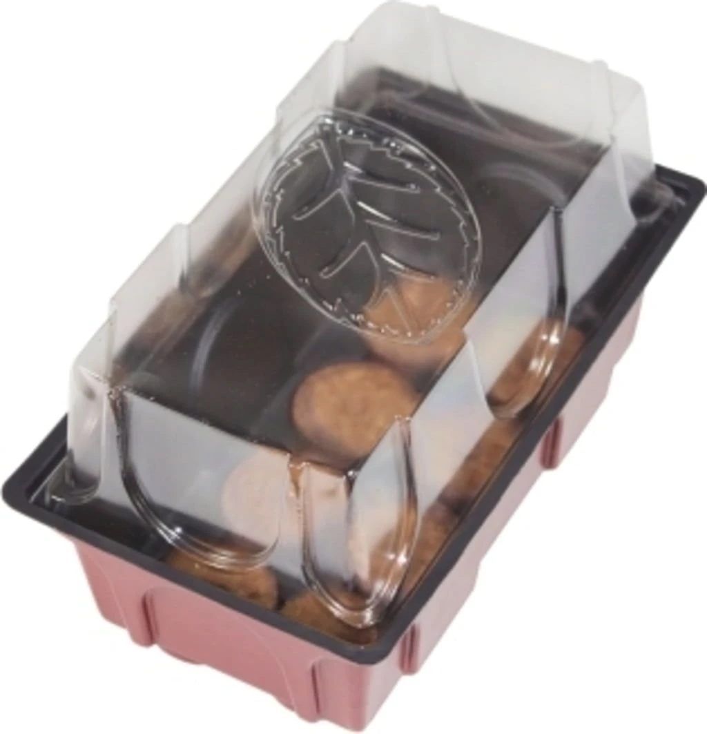 Windhager Zimmer-Treibhaus Mini Mit 8x Quelltabs 4 Windhager Zimmer-Treibhaus Mini Mit 8x Quelltabs – Bild 2