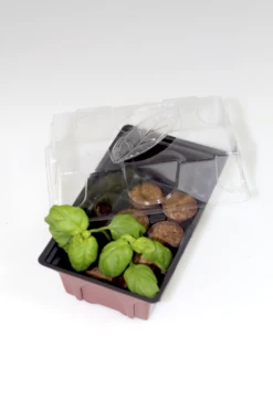 Windhager Zimmer-Treibhaus Mini Mit 8x Quelltabs 10 Windhager Zimmer-Treibhaus Mini Mit 8x Quelltabs -Pflanzensamen Rabatt windhager zimmer treibhaus mini mit 8x quelltabs 1 st 1668885 de