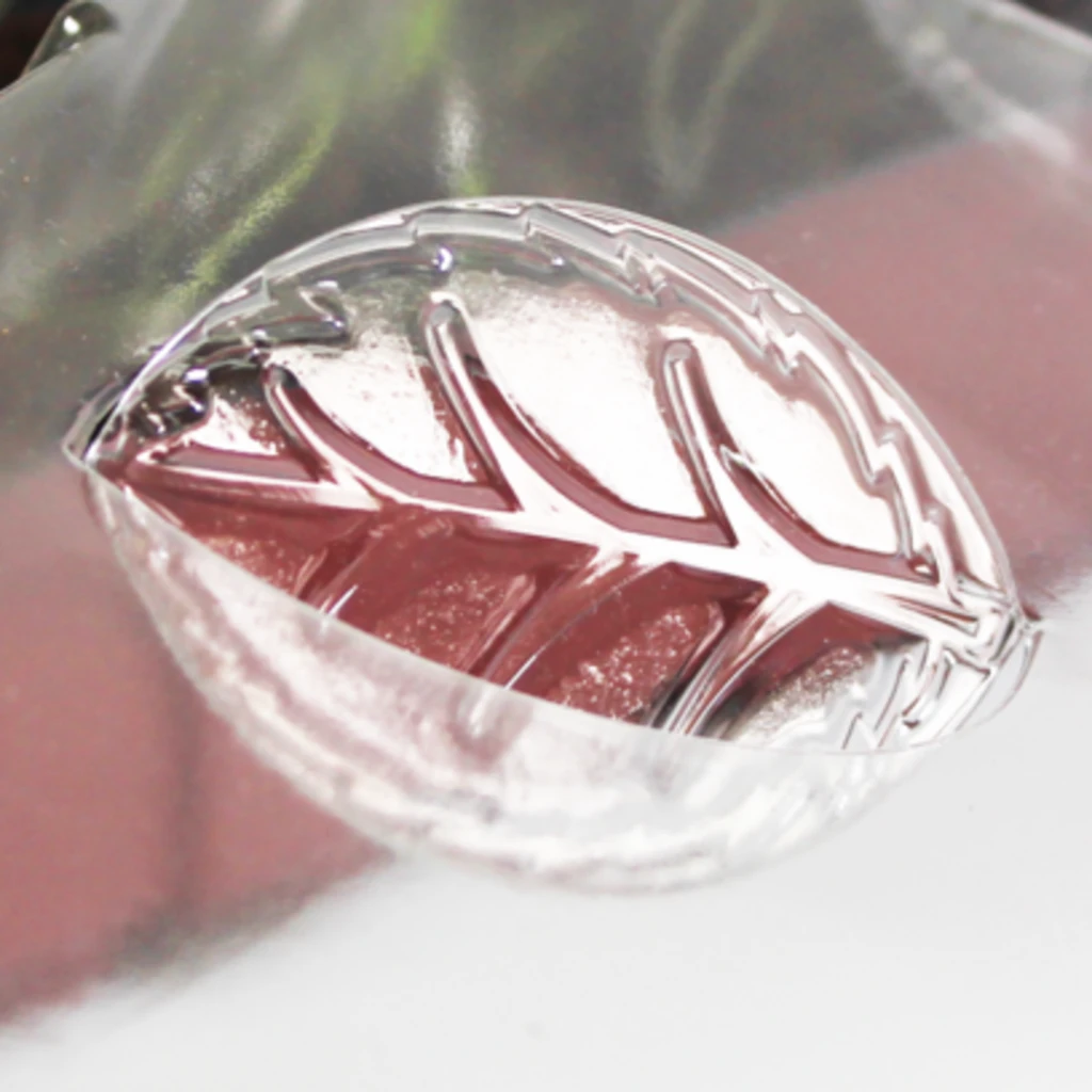 Windhager Zimmer-Treibhaus Mini Mit 8x Quelltabs 7 Windhager Zimmer-Treibhaus Mini Mit 8x Quelltabs – Bild 5