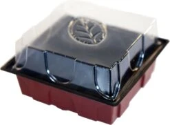 Windhager Zimmertreibhaus Inkl. 12 Quelltabs 10 Windhager Zimmertreibhaus Inkl. 12 Quelltabs -Pflanzensamen Rabatt windhager zimmertreibhaus inkl 12 quelltabs 1 set 659923 de